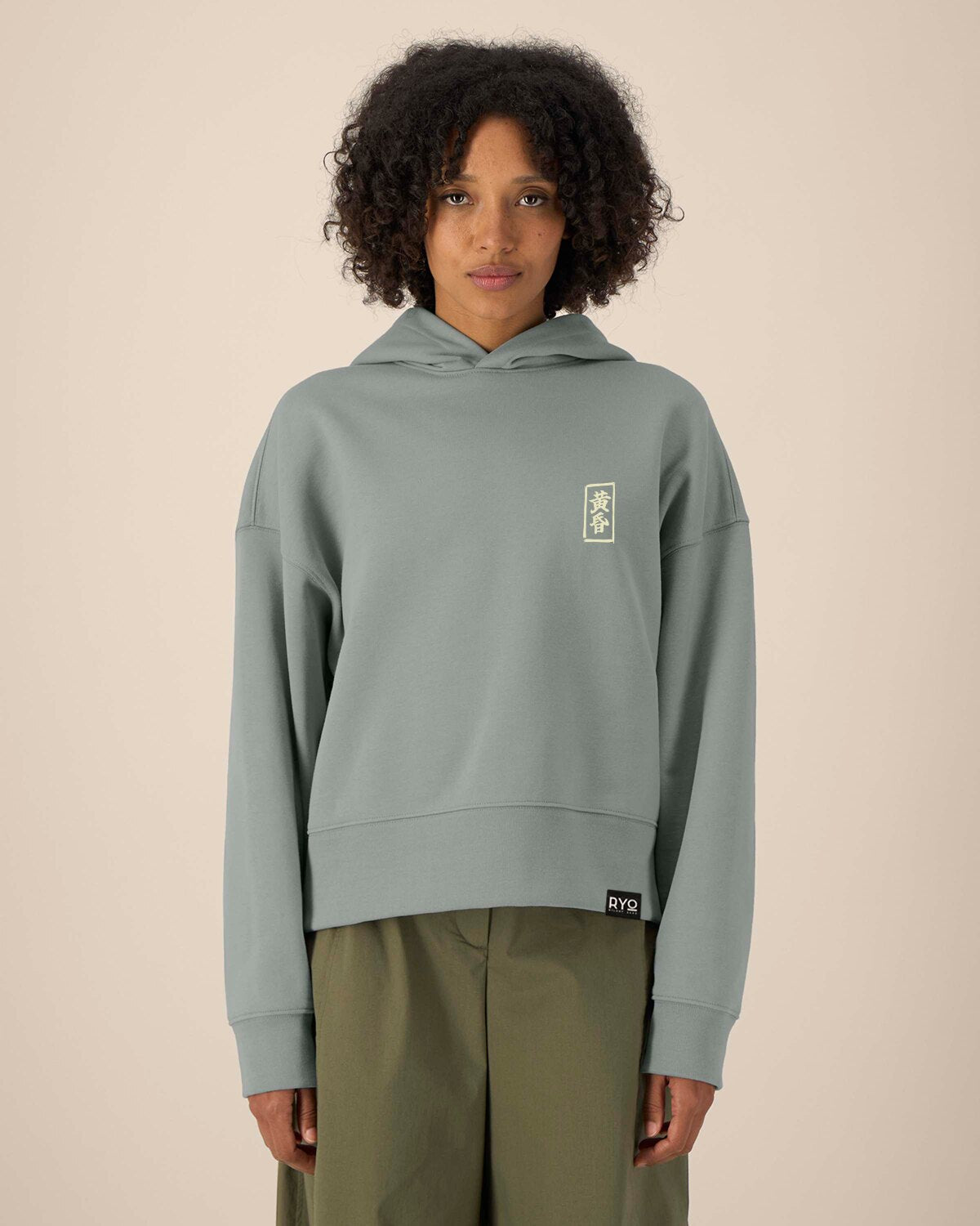 Front view of the Tanuki - Wild & Drunk Hoodie by RYO Silent Echo